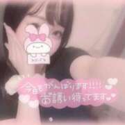 ヒメ日記 2025/10/15 10:26 投稿 しずく 横浜ひよこ倶楽部