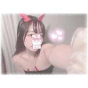 ヒメ日記 2025/10/18 15:16 投稿 しずく 横浜ひよこ倶楽部