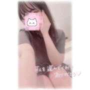 ヒメ日記 2025/10/18 18:16 投稿 しずく 横浜ひよこ倶楽部