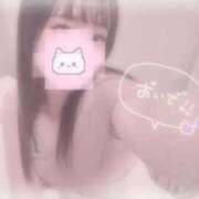 ヒメ日記 2025/10/20 15:46 投稿 しずく 横浜ひよこ倶楽部