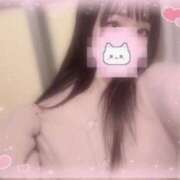 ヒメ日記 2025/10/20 18:26 投稿 しずく 横浜ひよこ倶楽部