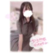 ヒメ日記 2025/10/23 08:26 投稿 しずく 横浜ひよこ倶楽部