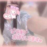 ヒメ日記 2025/10/30 07:56 投稿 しずく 横浜ひよこ倶楽部