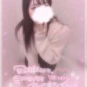 ヒメ日記 2025/11/01 08:16 投稿 しずく 横浜ひよこ倶楽部