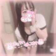 ヒメ日記 2025/11/02 07:56 投稿 しずく 横浜ひよこ倶楽部