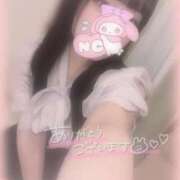 ヒメ日記 2025/11/03 19:46 投稿 しずく 横浜ひよこ倶楽部