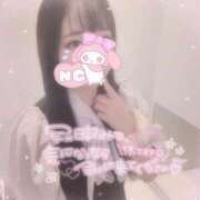 ヒメ日記 2025/11/07 13:46 投稿 しずく 横浜ひよこ倶楽部