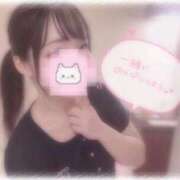 ヒメ日記 2025/11/07 17:06 投稿 しずく 横浜ひよこ倶楽部