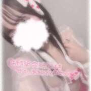 ヒメ日記 2025/11/07 17:51 投稿 しずく 横浜ひよこ倶楽部