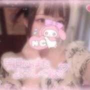 ヒメ日記 2025/11/07 23:46 投稿 しずく 横浜ひよこ倶楽部