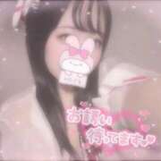 ヒメ日記 2025/11/09 06:56 投稿 しずく 横浜ひよこ倶楽部