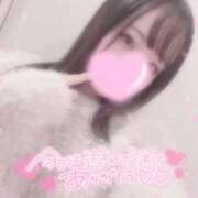 ヒメ日記 2025/11/10 18:56 投稿 しずく 横浜ひよこ倶楽部