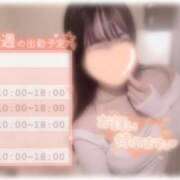 ヒメ日記 2025/11/10 19:26 投稿 しずく 横浜ひよこ倶楽部