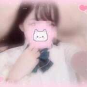 ヒメ日記 2025/11/11 21:06 投稿 しずく 横浜ひよこ倶楽部