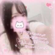 ヒメ日記 2025/11/13 06:56 投稿 しずく 横浜ひよこ倶楽部