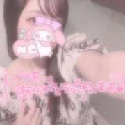 ヒメ日記 2025/11/13 18:46 投稿 しずく 横浜ひよこ倶楽部