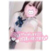 ヒメ日記 2025/11/14 07:16 投稿 しずく 横浜ひよこ倶楽部