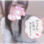 ヒメ日記 2025/11/15 07:46 投稿 しずく 横浜ひよこ倶楽部