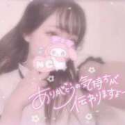 ヒメ日記 2025/11/16 19:46 投稿 しずく 横浜ひよこ倶楽部