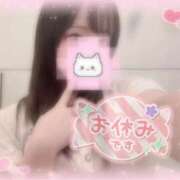 ヒメ日記 2025/11/19 08:26 投稿 しずく 横浜ひよこ倶楽部