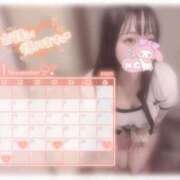 ヒメ日記 2025/11/21 17:06 投稿 しずく 横浜ひよこ倶楽部