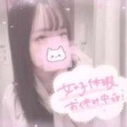 ヒメ日記 2025/11/22 11:56 投稿 しずく 横浜ひよこ倶楽部