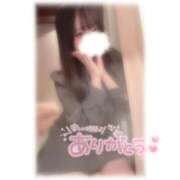 ヒメ日記 2025/11/27 19:52 投稿 しずく 横浜ひよこ倶楽部