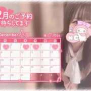 ヒメ日記 2025/11/28 12:26 投稿 しずく 横浜ひよこ倶楽部