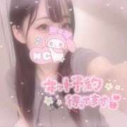 ヒメ日記 2025/11/29 07:46 投稿 しずく 横浜ひよこ倶楽部