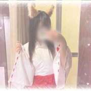 ヒメ日記 2025/11/29 20:16 投稿 しずく 横浜ひよこ倶楽部