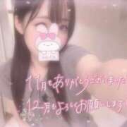 ヒメ日記 2025/11/30 19:36 投稿 しずく 横浜ひよこ倶楽部