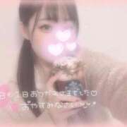 ヒメ日記 2025/12/08 22:56 投稿 しずく 横浜ひよこ倶楽部