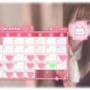 ヒメ日記 2025/12/09 17:16 投稿 しずく 横浜ひよこ倶楽部