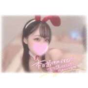 ヒメ日記 2025/12/13 13:16 投稿 しずく 横浜ひよこ倶楽部