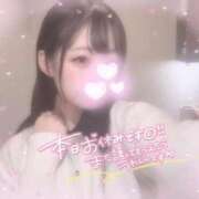 ヒメ日記 2025/12/19 07:46 投稿 しずく 横浜ひよこ倶楽部