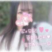 ヒメ日記 2025/12/19 17:26 投稿 しずく 横浜ひよこ倶楽部