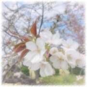 ヒメ日記 2025/12/26 13:16 投稿 しずく 横浜ひよこ倶楽部