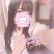 ヒメ日記 2025/12/27 07:56 投稿 しずく 横浜ひよこ倶楽部