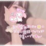 ヒメ日記 2026/01/13 07:36 投稿 しずく 横浜ひよこ倶楽部