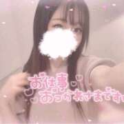 ヒメ日記 2026/01/14 19:46 投稿 しずく 横浜ひよこ倶楽部