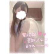 ヒメ日記 2026/01/17 07:06 投稿 しずく 横浜ひよこ倶楽部