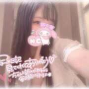 ヒメ日記 2026/01/23 12:36 投稿 しずく 横浜ひよこ倶楽部