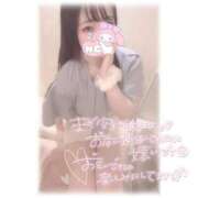 ヒメ日記 2026/01/29 07:06 投稿 しずく 横浜ひよこ倶楽部