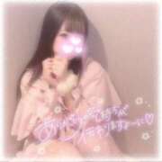 ヒメ日記 2026/02/01 21:46 投稿 しずく 横浜ひよこ倶楽部