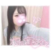 ヒメ日記 2026/02/18 15:26 投稿 しずく 横浜ひよこ倶楽部