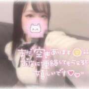 しずく 残り空き枠…🈳 横浜ひよこ倶楽部