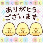ヒメ日記 2026/01/29 12:56 投稿 椿れい セレブ嬉野