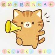 ヒメ日記 2026/01/30 07:06 投稿 椿れい セレブ嬉野