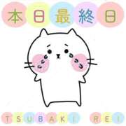 椿れい 本日最終日😭 セレブ嬉野