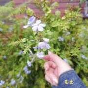 ヒメ日記 2025/06/20 22:23 投稿 もえ 完熟ばなな西川口